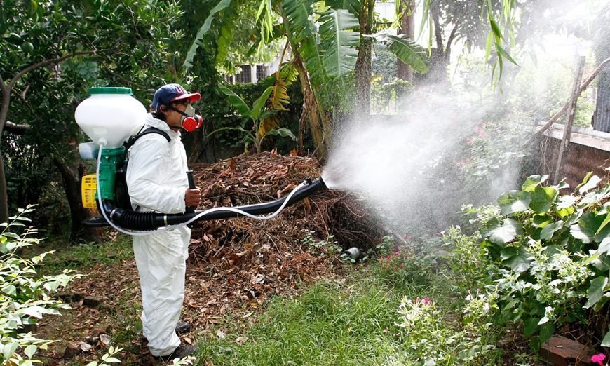 Lee más sobre el artículo Michlig solicitó a la provincia intensificar medidas contra el dengue