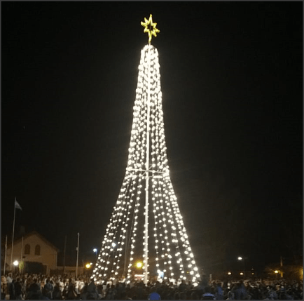 Lee más sobre el artículo El Senador Michlig acompañó en Ceres a la intendenta Dupouy en la inauguración de un gigante árbol navideño