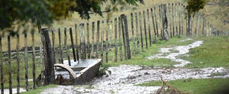 Despues del fin de semana veraniego, las lluvias acomodarán las temperaturas primaverales