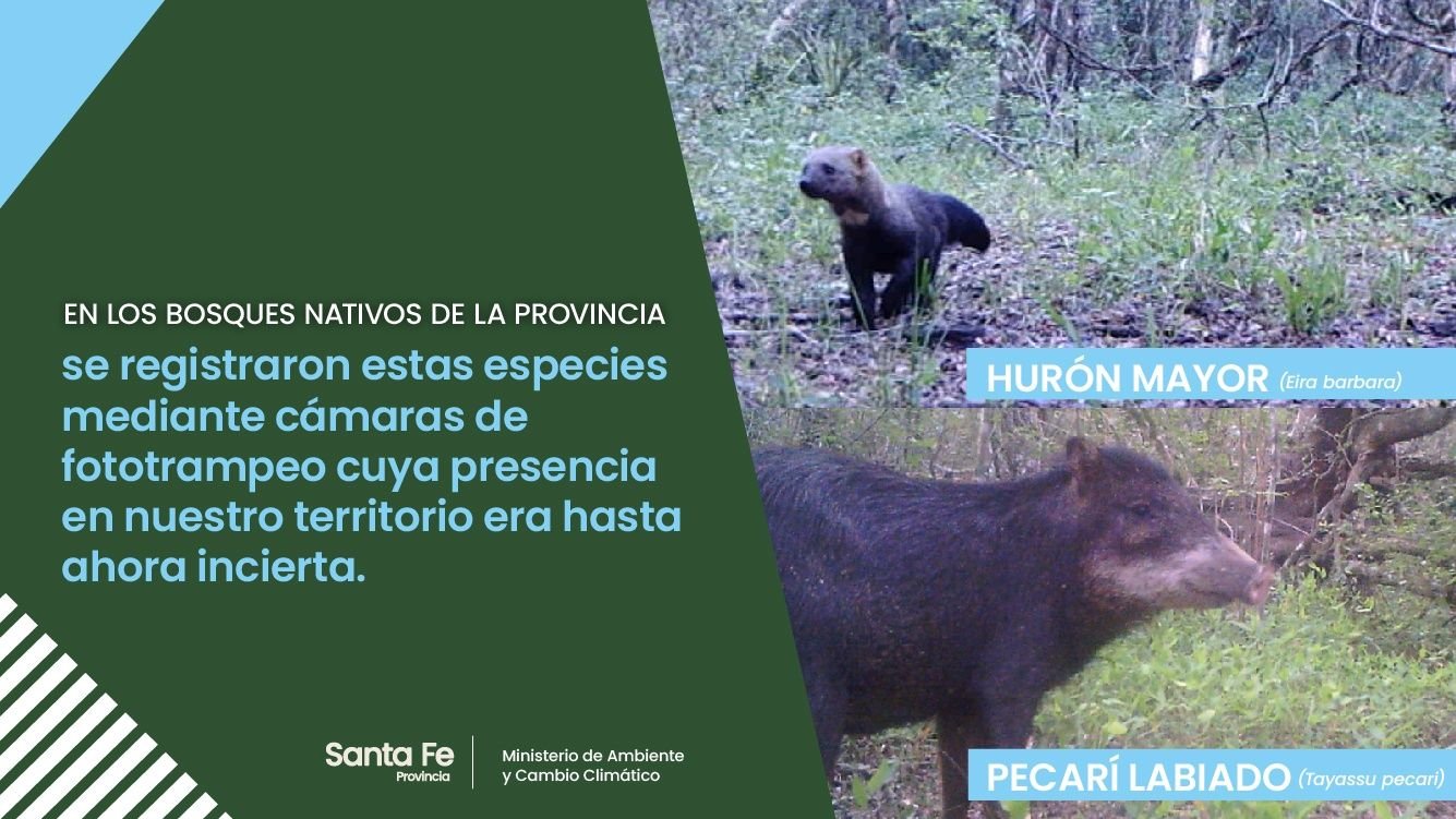 Lee más sobre el artículo Encontraron dos especies animales, nunca antes vista en la provincia