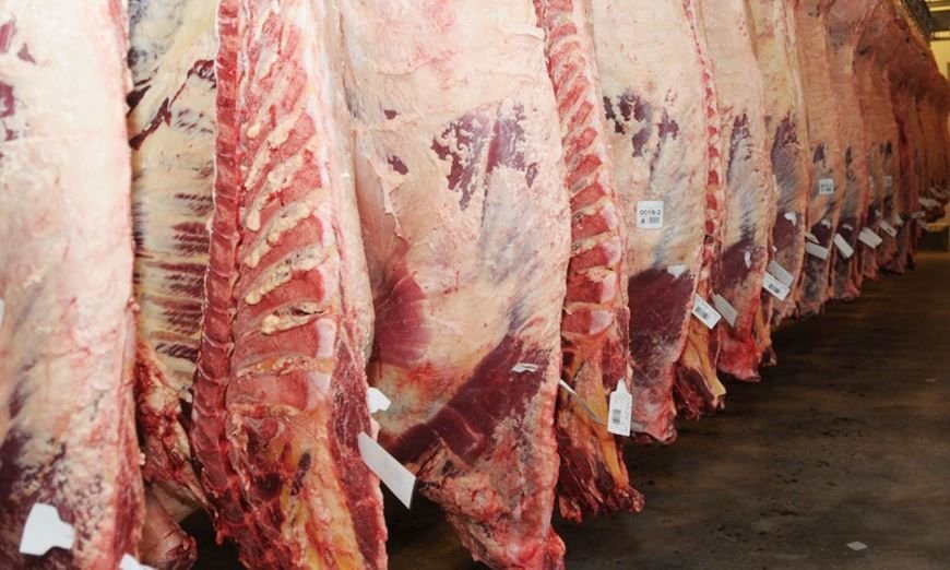 Lee más sobre el artículo Confusa situación sobre cierre de exportaciones de carne y lácteos