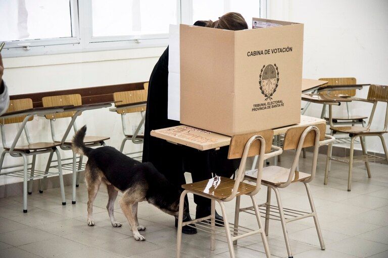 Elecciones 2021: El Senador Michlig consiguió inscribir listas propias en 30 localidades, Giovaninni en 29