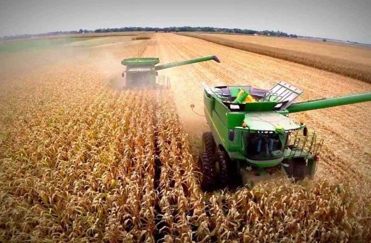 Lee más sobre el artículo Viento a favor para Milei: el agro podría registrar su segunda mayor cosecha de la historia en 2024