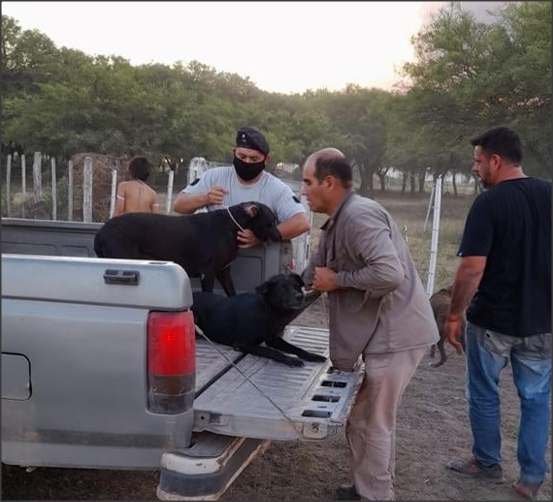 Lee más sobre el artículo La policia de Santa Fe, reconoció la labor de policias ceresinos rescatando animales del refugio