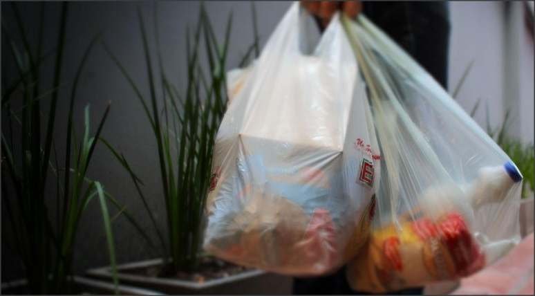 Lee más sobre el artículo Dianela Bertorello: «Ha llegado el día «D» para las bolsas de plásticos»