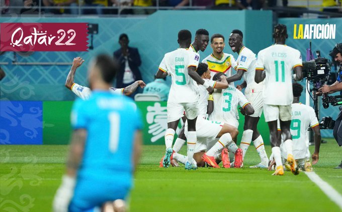 Lee más sobre el artículo Senegal terminó con el sueño de Ecuador y junto a Paises Bajos entró a octavos