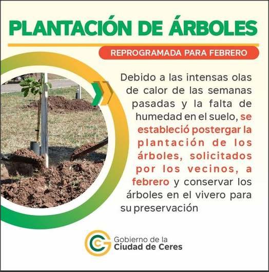 Lee más sobre el artículo Prorrogan hasta febrero la plantación de árboles solicitados por los vecinos