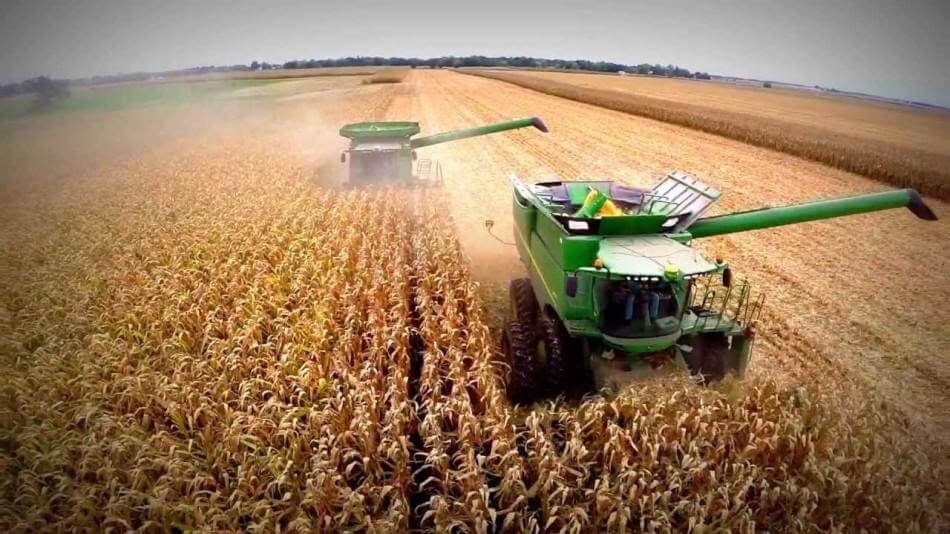 Lee más sobre el artículo Súper campaña: el maíz se acerca a números récord y la soja en excelentes condiciones