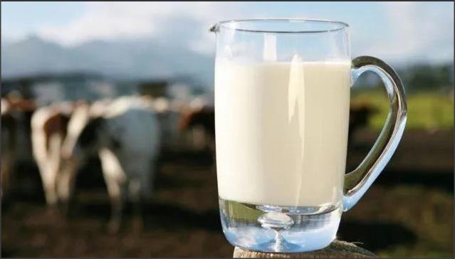 Lee más sobre el artículo Fuerte caída de la producción y consumo de leche en el pais