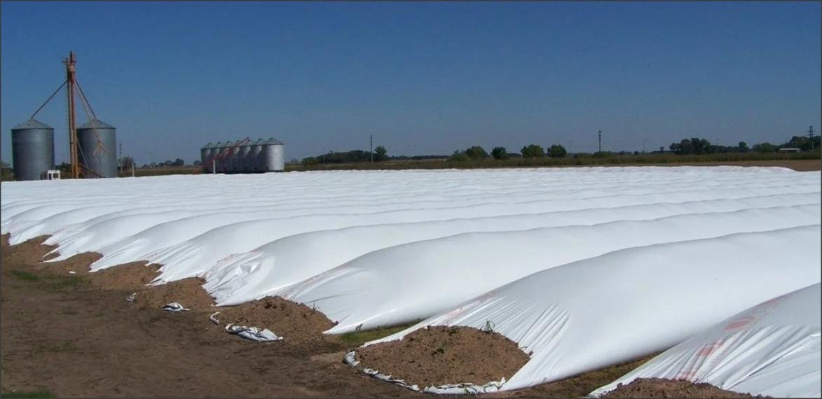 Lee más sobre el artículo Los productores guardan en silos los dólares que el gobierno necesita