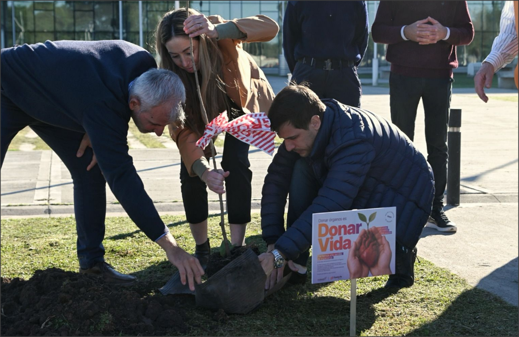 La Provincia honró a donantes de órganos plantando àrboles