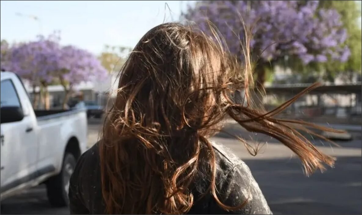 En este momento estás viendo Viento norte y temperaturas más agradables para el arranque de agosto
