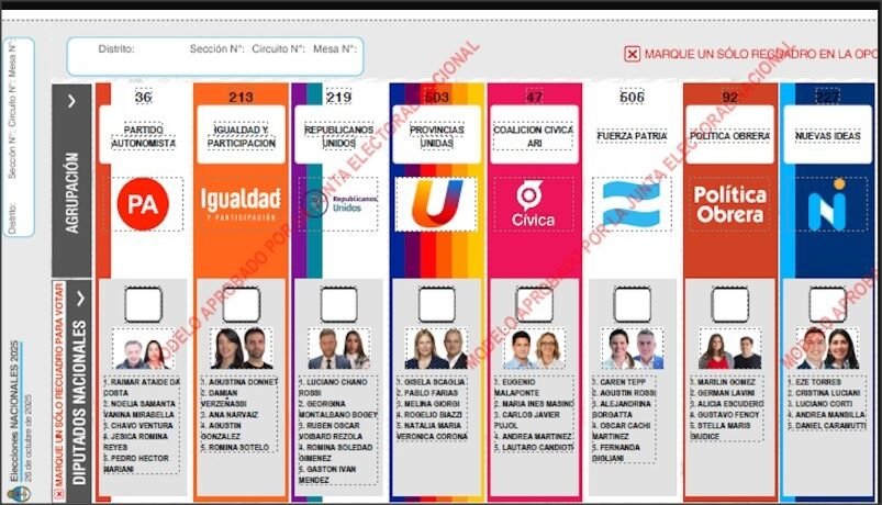 En este momento estás viendo El riesgo de que pocos quieran votar