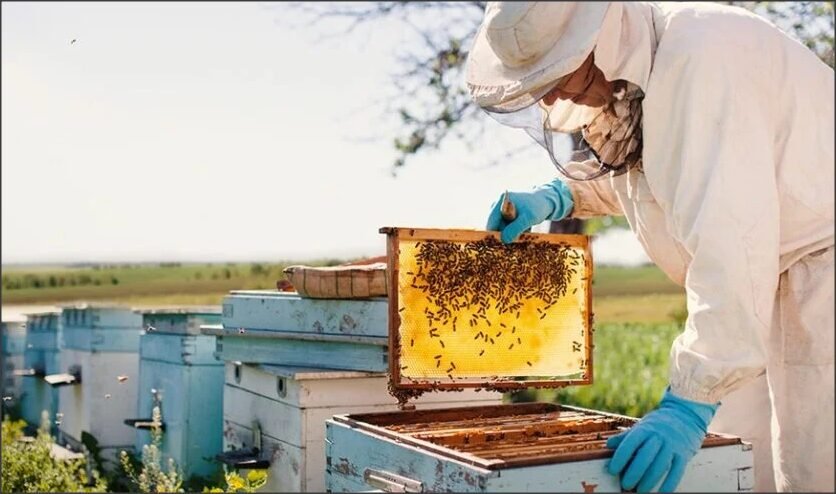En este momento estás viendo La Coop. de Apicultures del Noroeste recibió un aporte provincial para una obra clave de suministro eléctrico