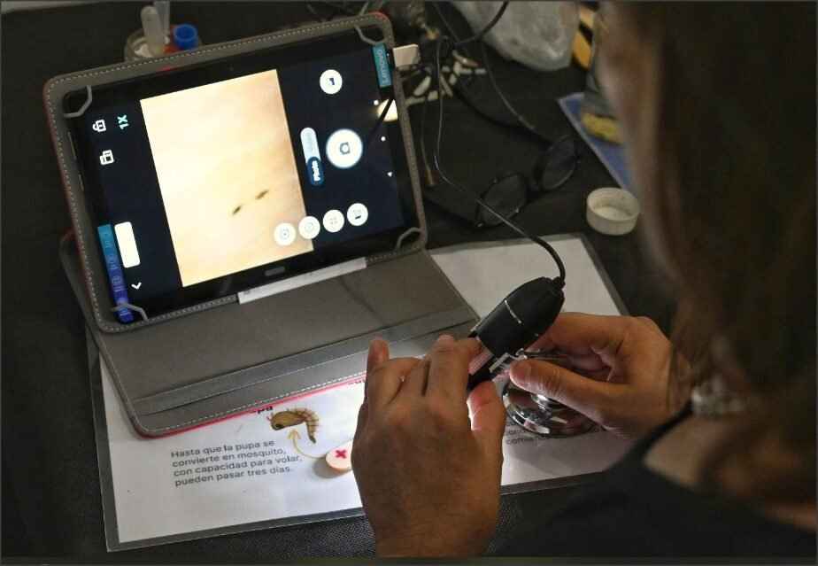 En este momento estás viendo Objetivo Dengue: cómo funciona la red de monitoreo que permitió detectar la presencia del mosquito todo el año