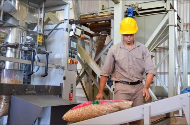 Crisis del empleo formal: casi 22 mil empleadores menos y 290 mil puestos perdidos en dos años