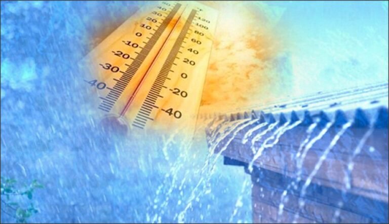 Vuelve el calor, y con mucha humedad toda la semana: ¿Cuando cambia?