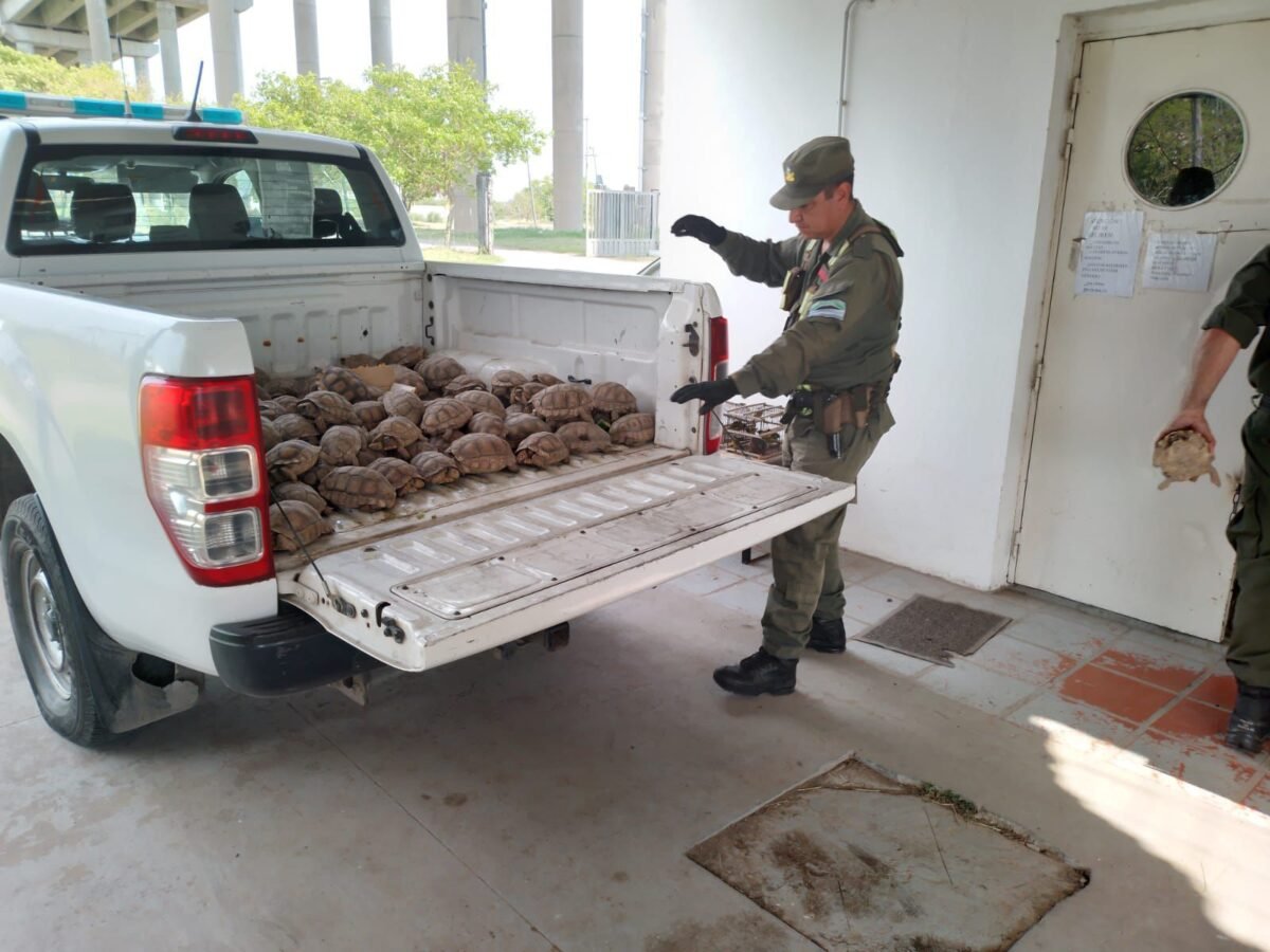 En este momento estás viendo Santa Fe refuerza las sanciones por caza ilegal y delitos contra la fauna
