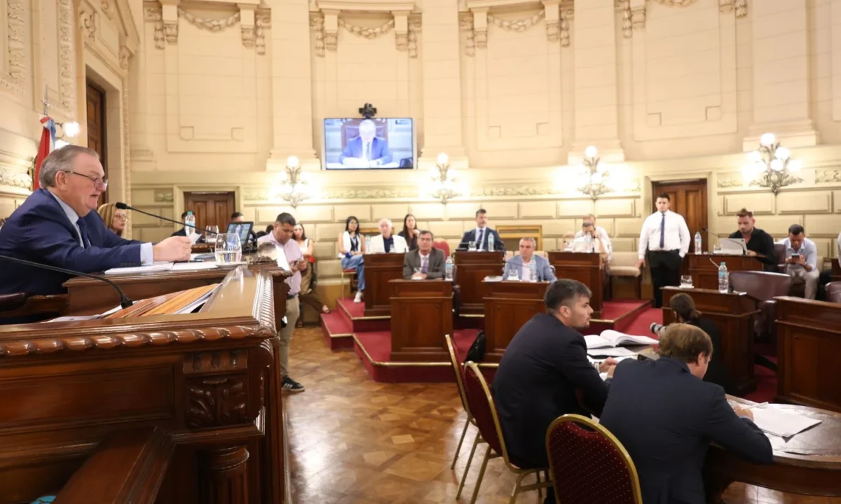 En este momento estás viendo Michlig destacó la sanción de importantes leyes en el senado “a partir del diálogo y elevado consenso político”