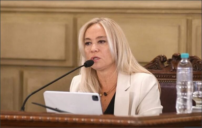 Menos homicidios, pero más violencia juvenil: la advertencia de Vranicich ante el Senado