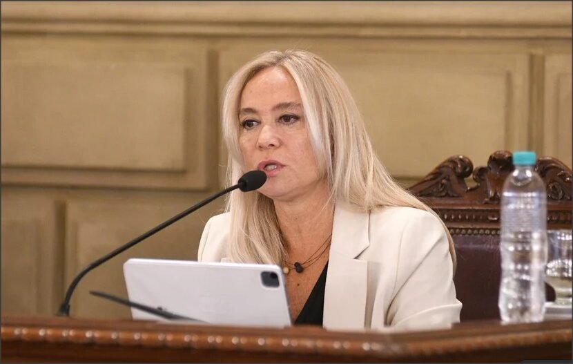 En este momento estás viendo Menos homicidios, pero más violencia juvenil: la advertencia de Vranicich ante el Senado